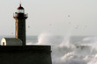 Storm