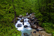 torrente di montagna nella foresta torrente di montagna nella foresta