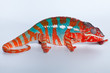 Camaleonte Furcifer Pardalis Camaleonte Furcifer Pardalis