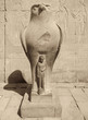 starue of Horus