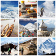 Himalayan