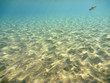 Unterwasser in der Ägäis