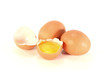 frische Eier