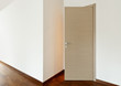new apartment, empty room, entrance door
