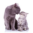 all the love in the world!