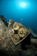 Bomb shells, still packed in their crate, on the shipwreck of th
