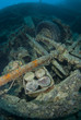 Bomb shells, still packed in their crate, on the shipwreck of th