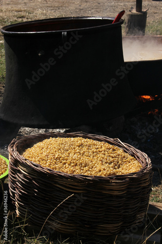Photo: wheat wheat