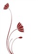 water lily plant , background , India water lily plant , background , India