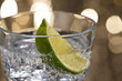 Gin Tonic Cocktail Gin Tonic Cocktail
