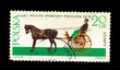 Poland  "GIG" Pojazd sportowy-poczatek XX w  J.Miller, 1965
