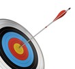 competition target with a red arrow