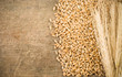 ears spike and wheat on wood texture ears spike and wheat on wood texture