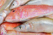 Seafood background