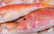 Seafood background