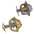 two automotive thermostats