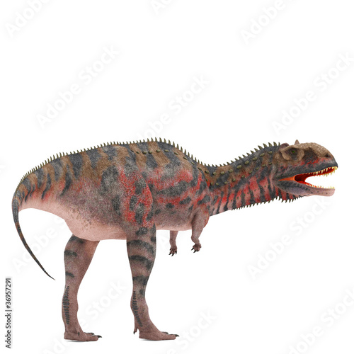 Illustration: red majungasaurus back side view red majungasaurus back side view