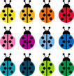 mariquitas de colores