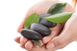 stones on a hand stones on a hand