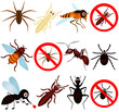 A vector collection of bugs (mosquito, termite, ant, etc)