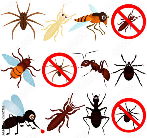 Vector: A vector collection of bugs (mosquito, termite, ant, etc) A vector collection of bugs (mosquito, termite, ant, etc)