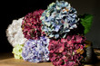 hydrangea bouquet in still life