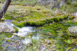 RÍO BOROSA,JAÉN