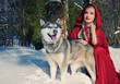Smiling Red Hood with a wolf