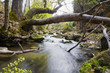 RÍO AGUASMULAS