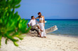 beautiful couple on the beach beautiful couple on the beach
