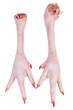 Dangling raw chicken legs with claws on a white background