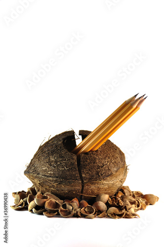 Photo: coconut and pencils coconut and pencils