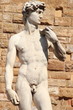 Florenz, David, Michelangelo, Toskana, Italien