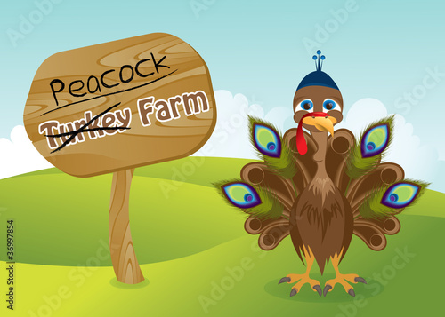 Illustration: Turkey wearing a hat and peacock feathers Turkey wearing a hat and peacock feathers