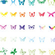 Schmetterlinge, butterflies, Insekten, insects