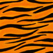 Peau de tigre