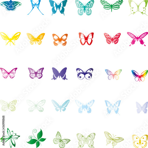 Vector: Schmetterlinge, butterflies, Insekten, insects Schmetterlinge, butterflies, Insekten, insects