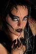 dans le regard de la veuve noire