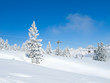 Winter in the alps