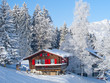 Winter holiday house