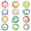 Animal icons