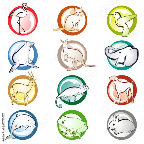 Vettoriale: Animal icons Animal icons