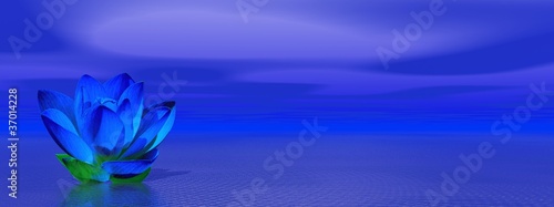 Illustration: Lily flower in blue indigo ocean Lily flower in blue indigo ocean