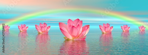 Illustration: Lily flowers under rainbow Lily flowers under rainbow