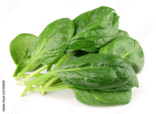 Photo: Spinach on white Spinach on white