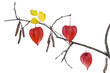 Red hearts Red hearts