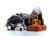 Hund Husky träumt von Weihnachtsgeschenken