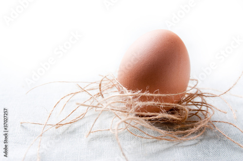 Photo: Brown egg Brown egg