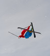 Freestyle Skiing