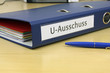 U-Ausschuss